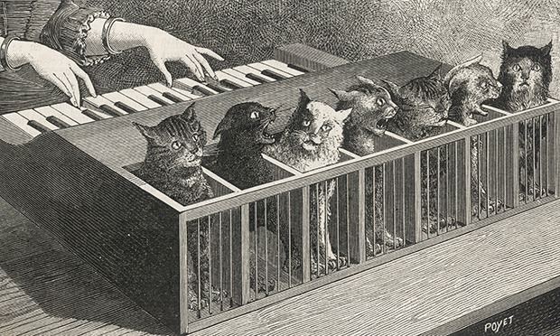 https://static.guim.co.uk/sys-images/Arts/Arts_/Pictures/2014/1/20/1390238570768/Cat-Piano-010.jpg