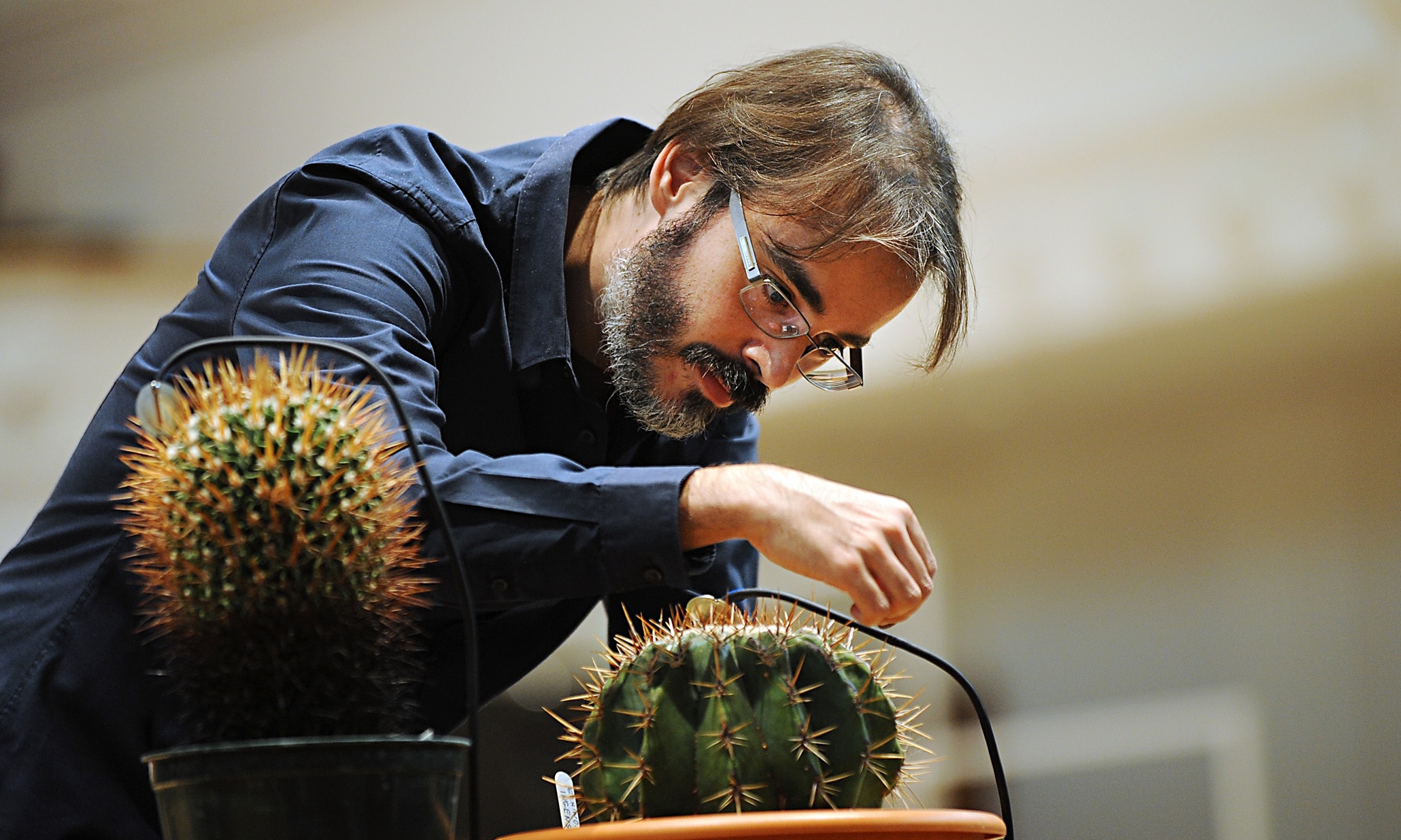 From oboe to Elbow: why orchestras are changing their tune