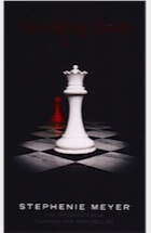 The twilight saga breaking dawn book