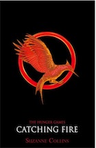 What is the book catching fire about summary