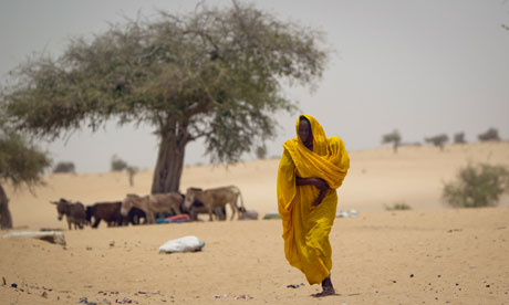 A Sahel woman walks after leaving the donkey she travelled on under the shade of a tree