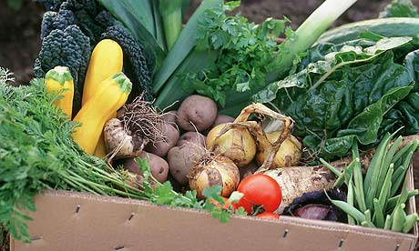 Box of organic vegetables