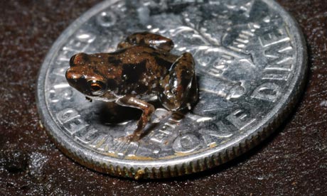 The-worlds-smallest-verte-006.jpg