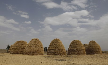 MDG : Mounds of teff grain dry in fields in Ethiopia