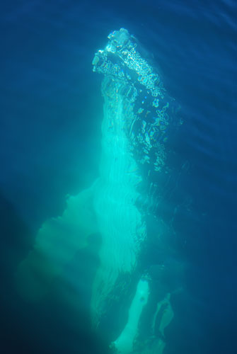 Whale watching: Humpback underwater