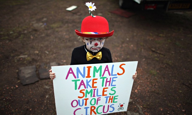 Law to ban wild animals in UK circuses being blocked by three Tory MPs - The Guardian