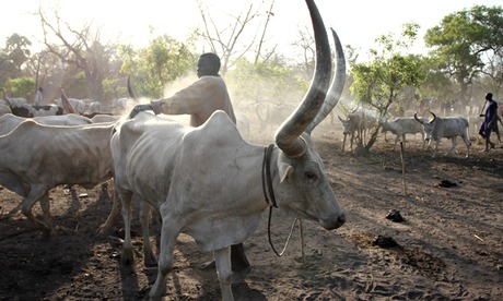 South Sudan unrest exacerbated by conflict among cattle herders