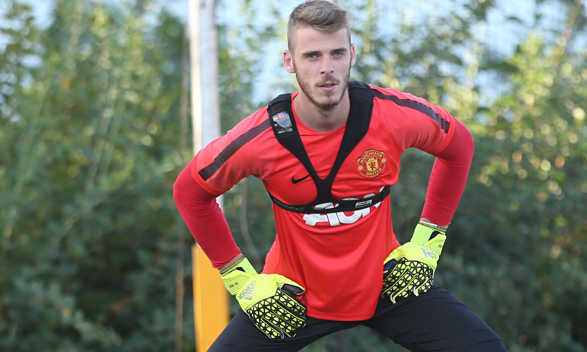 Louis van Gaal expects David de Gea to return from injury and face Barcelona