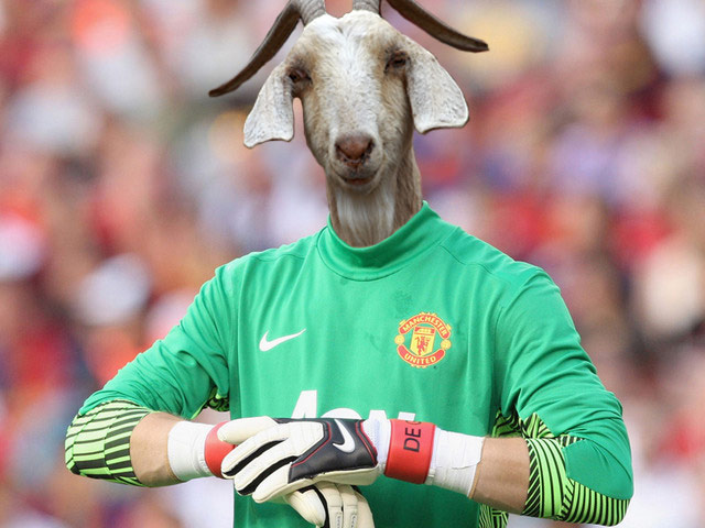 David de Gea: The Gallery: David de Gea