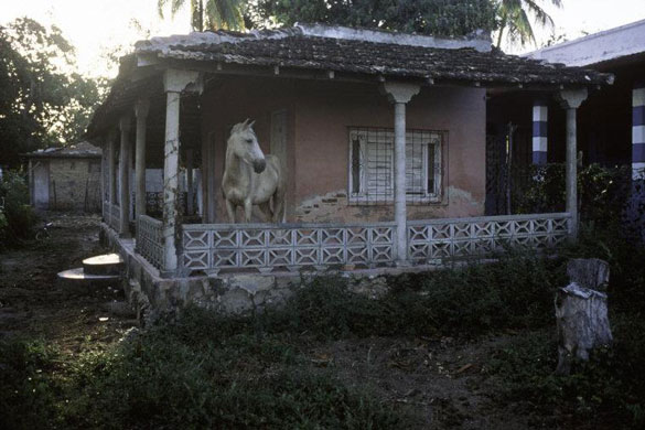 Gallery Magnum's Cuba: A horse on a porch