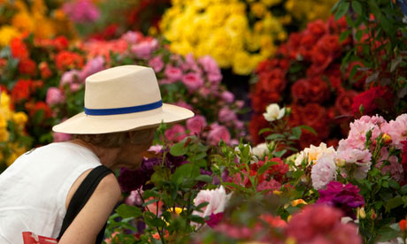 A woman smells the Roses at Hampton Court Palace Flower Show