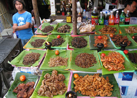 Market stall with many insects for sale