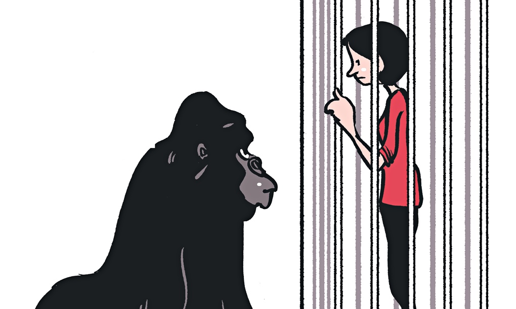 Sophie Heawood: the zoo is an excellent place to study the habits of human beings