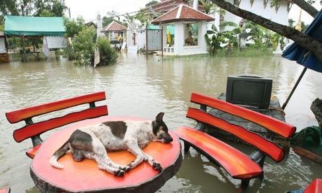 Thailand-floods-006.jpg