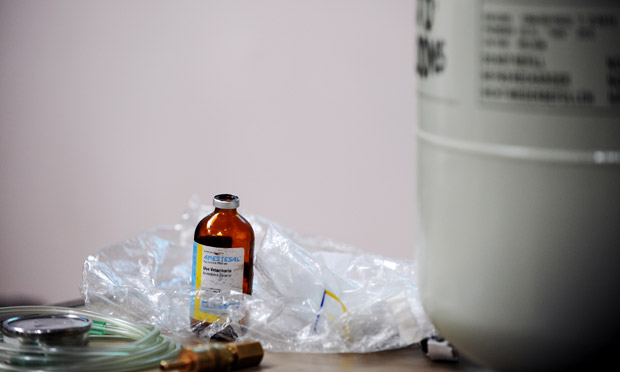 Texas poised to execute intellectually disabled prisoner within hours