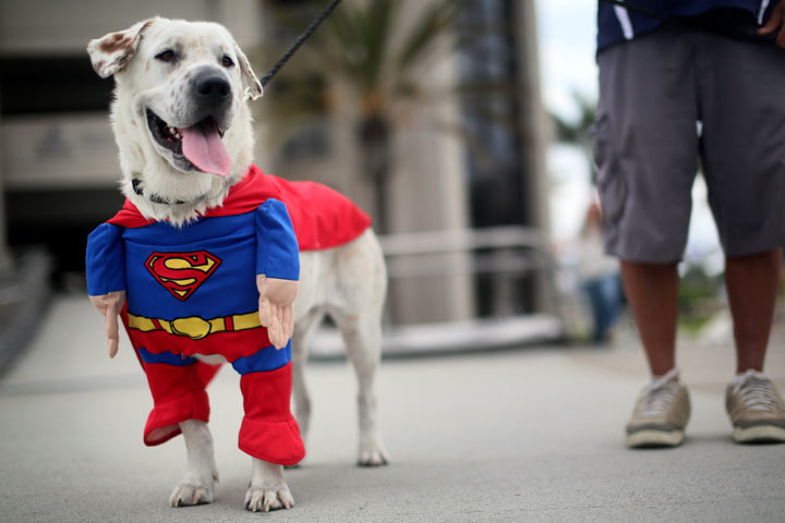 Comic-Con Fans Attend The Annual Convention In San Diego