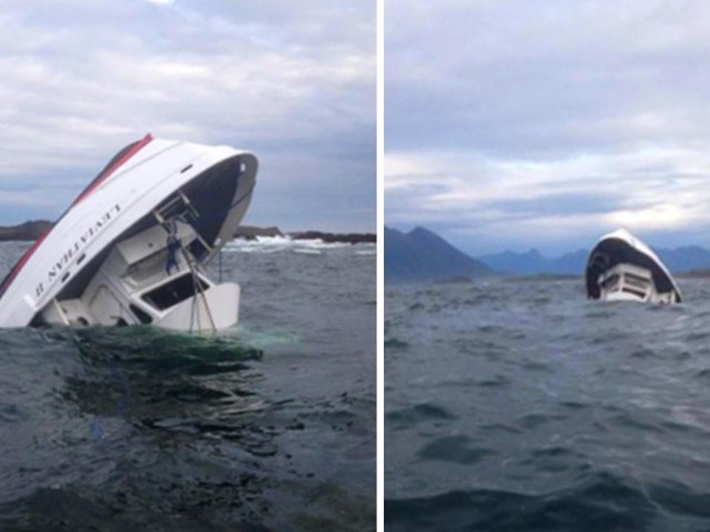 Shock in Canada and Britain as five tourists die on whale-watching