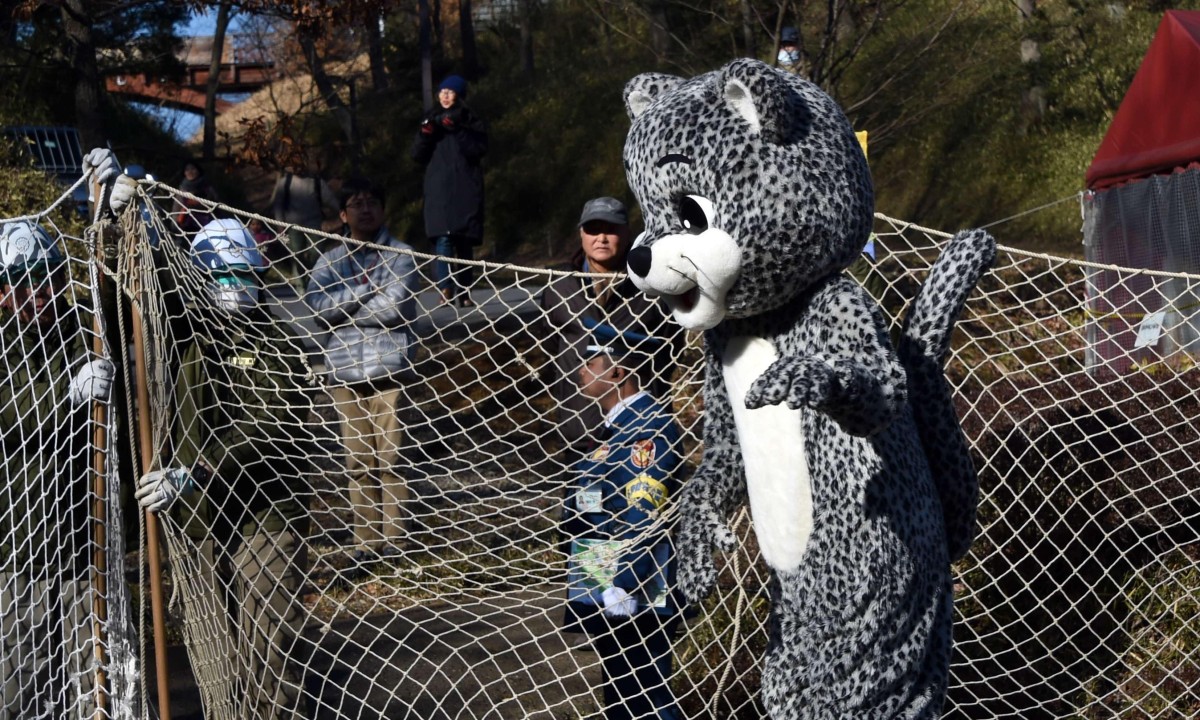 Escape claws: Tokyo zoo holds snow leopard drill | Japan | The