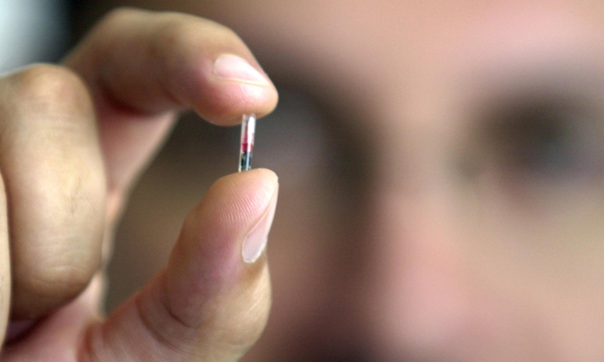 Microchip hand implants offered to Swedish office staff - video