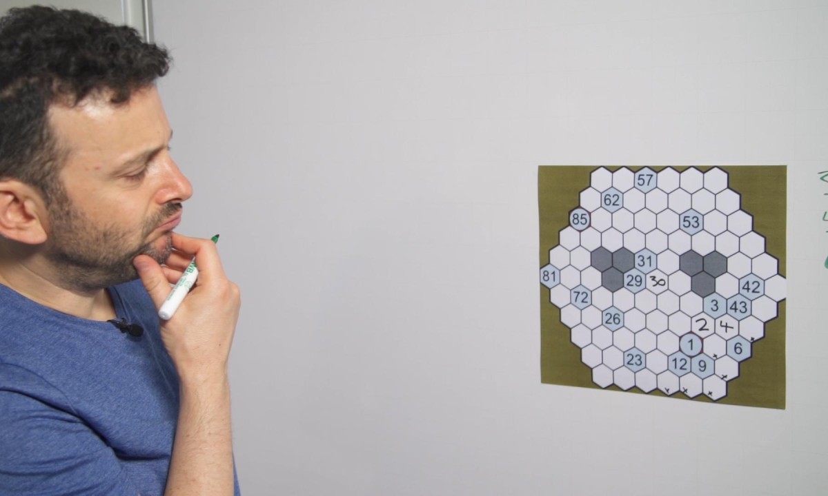 did-you-solve-it-is-beehive-hidato-the-new-sudoku-science-the