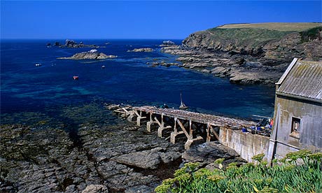 lizard point | gurtyer