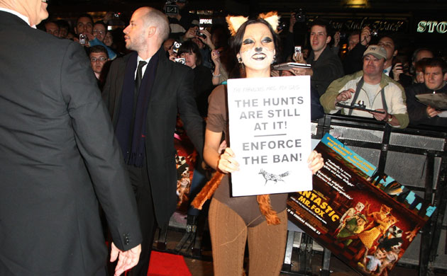 London film festival 1: London film festival Fantastic Mr Fox: protester