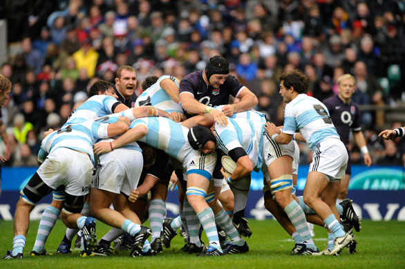 England v Argentina: Borthwick can't get to ball held by Albacete