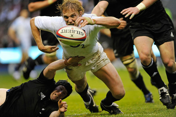 England v All Blacks: A focussed Lewis Moody chases down a loose ball in front of Tom Donnelly