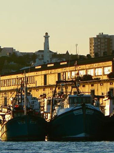 south africa read images: Port Elizabeth