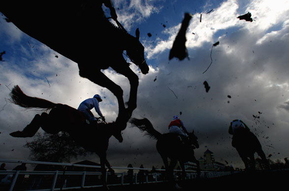 24sport: Towcester Races