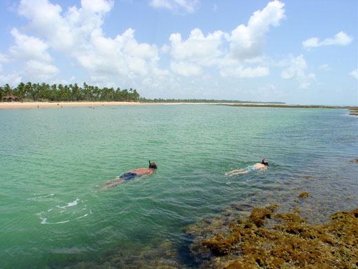 Brazil beaches: Taipus de Fora beach in Brazil