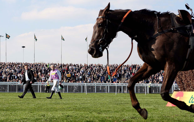 Sport: 24 hours: Ruby Walsh watches as Denman finishes without jockey