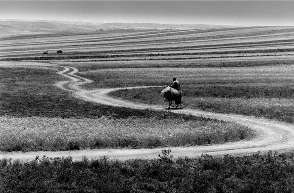 Abbas Kiarostami: ABBAS KIAROSTAMI ROADS (79) 1989 C PRINT, Edition of 2. 58.7 X 90 CM 