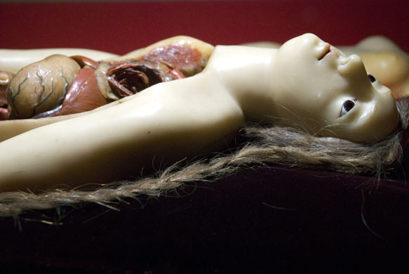 Exquisite Bodies: Exquisite Bodies at the Wellcome Collection