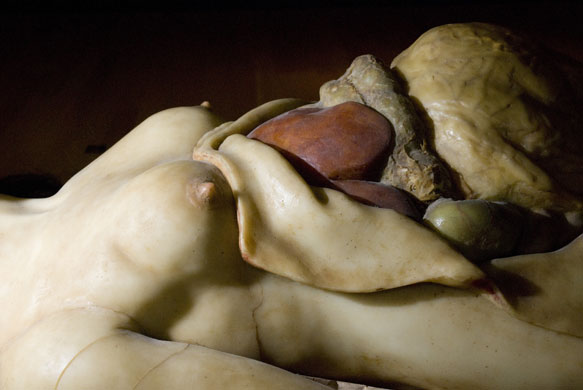 Exquisite Bodies: Exquisite Bodies at the Wellcome Collection