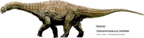 diamantinasaurus matildae