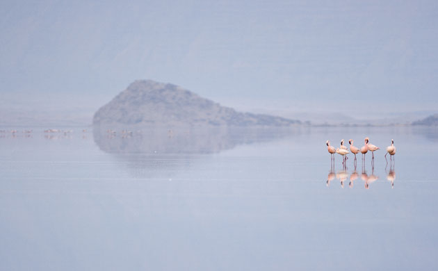 The Crimson Wing: The Crimson Wing: Environment