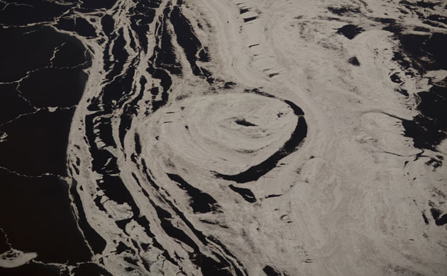 The Crimson Wing: The Crimson Wing: Environment