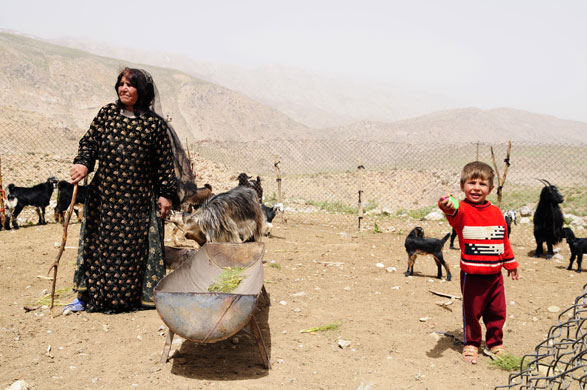 Iran: Qashqai nomads in Iran