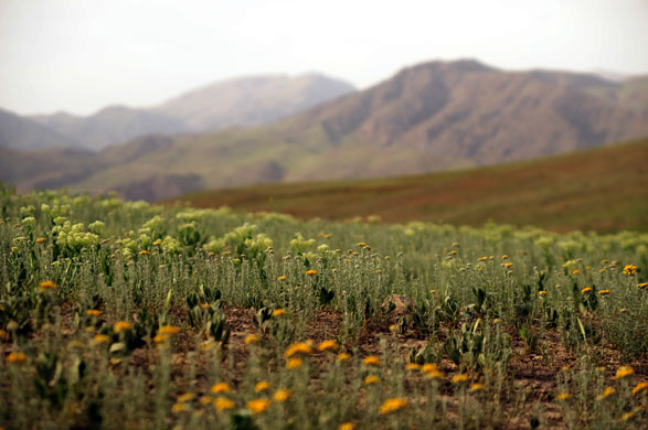 Iran: The Zagros mountains in Iran