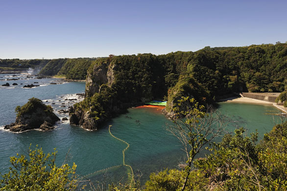 Dolphins in Japan: Blood in the water at 'killer cove' in picturesque Taiji, Japan