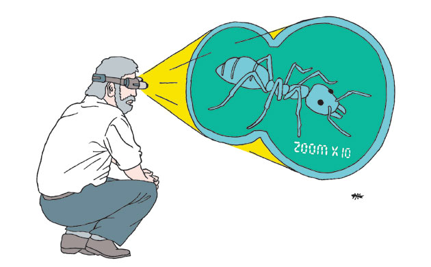 'If only' competition: George McGavin