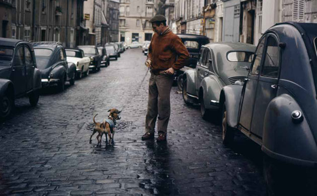 Paul Newman: Paul Newman and dog