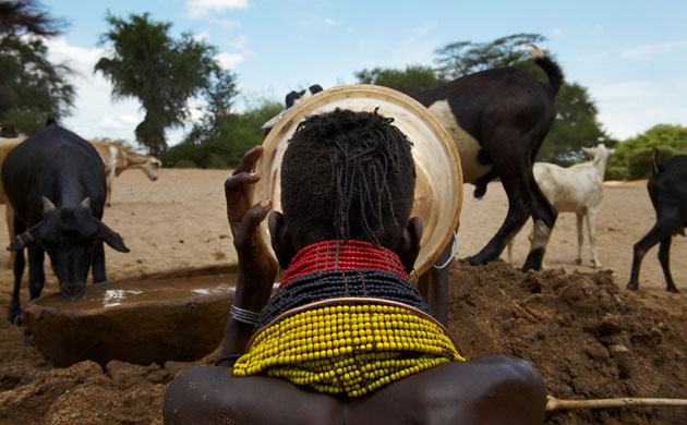 New Kenya: Turkana pastoralists facing climate change in North-East of Kenya