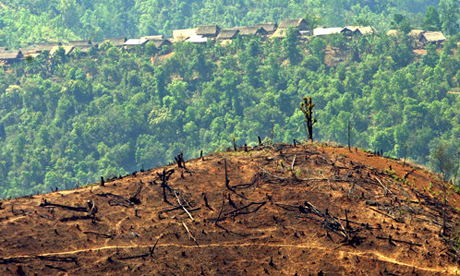 Consumer Goods Forum plans to tackle deforestation and other key
