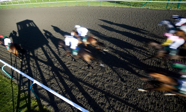 24sport: Runners pass the judges box after the Betdaq Handicap Stakes at Lingfield 