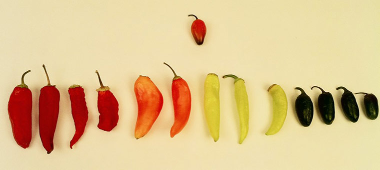 Things Organized Neatly: kimbontrager