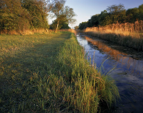 National Trust walks: Wicken Fen