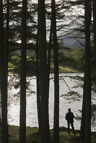 National Trust walks: Tarn Hows - stunning Lake District views and great for wildlife watching