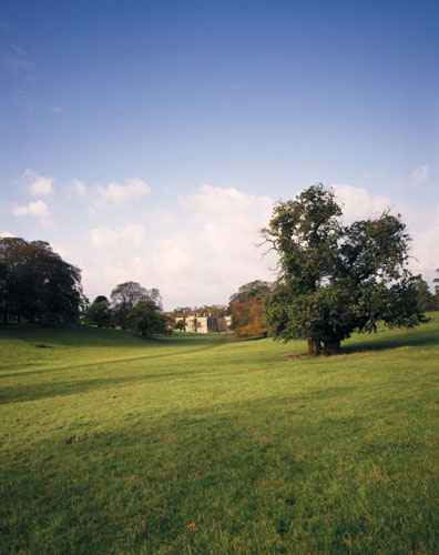 National Trust walks: Calke Abbey